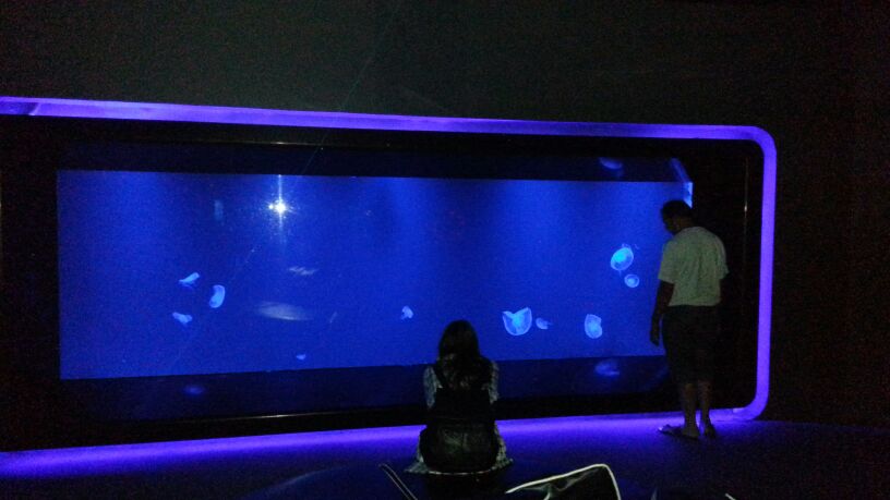 Siam Ocean World - Bangkok