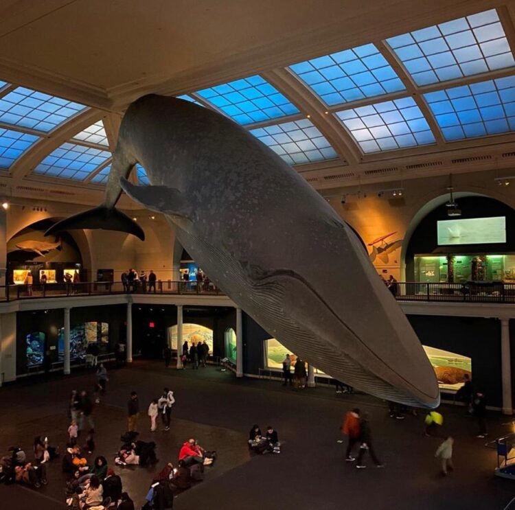 10 MUST VISIT MUSEUMS IN MANHATTAN NEW YORK - PINNING DESTINATIONS