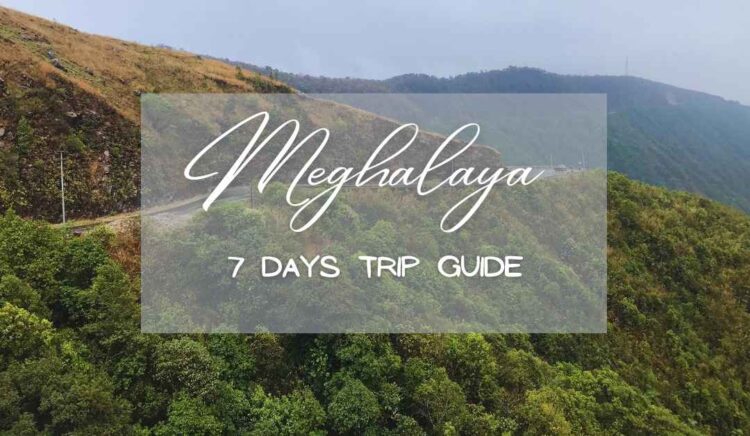 Meghalaya 7 Days Trip Guide