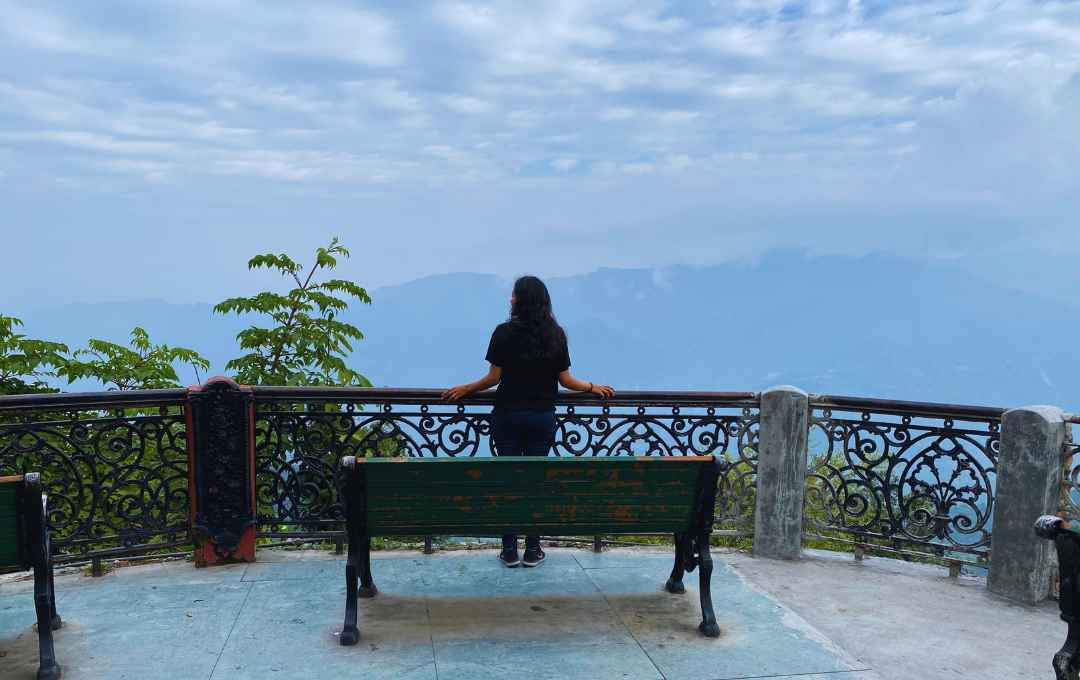 Camel Back Road View Point Mussoorie