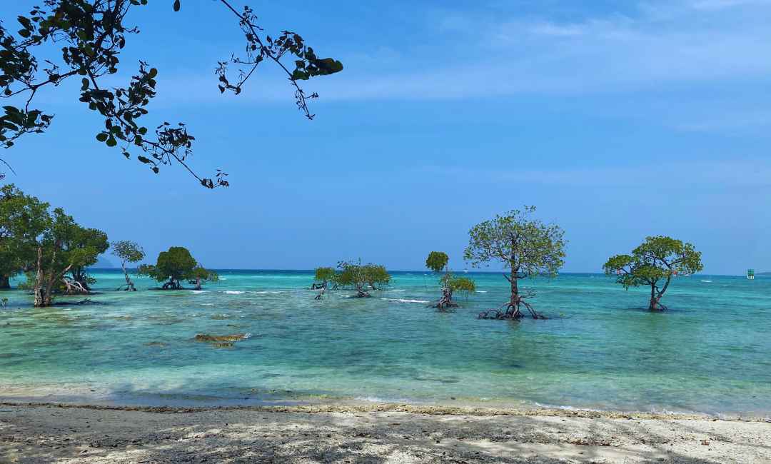 Neil Islands Andaman